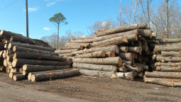 nlfirewood5011002.jpg